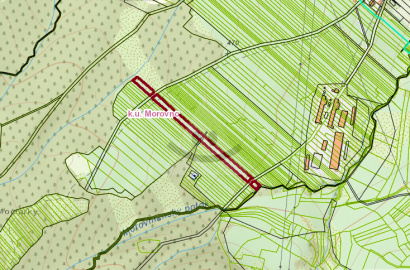 Pozemky: orná pôda, trvalý trávny porast, 6951 m2, k.ú. Morovno, okres Prievidza